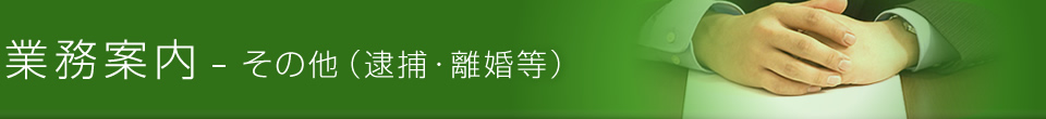業務案内-その他（逮捕・離婚など）